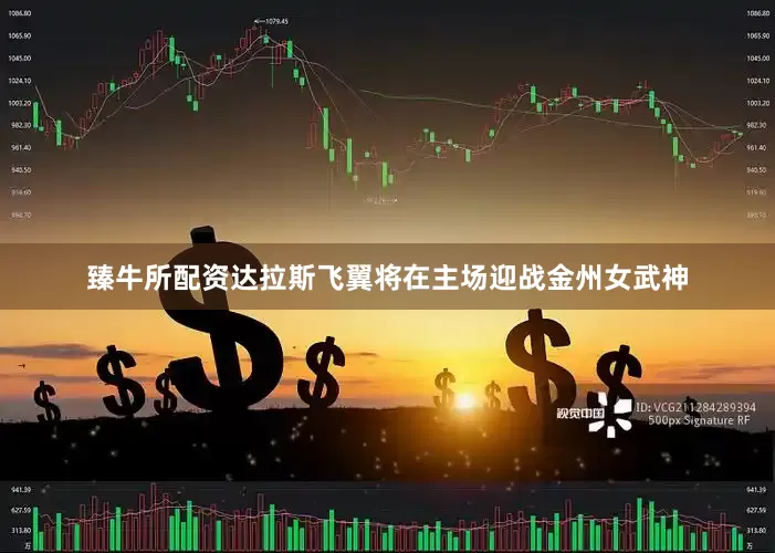 臻牛所配资达拉斯飞翼将在主场迎战金州女武神