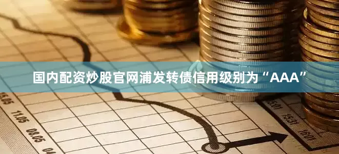 国内配资炒股官网浦发转债信用级别为“AAA”