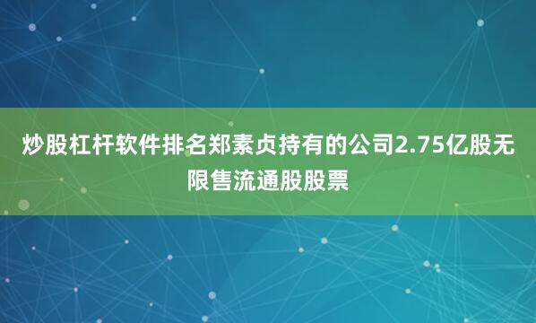 炒股杠杆软件排名郑素贞持有的公司2.75亿股无限售流通股股票