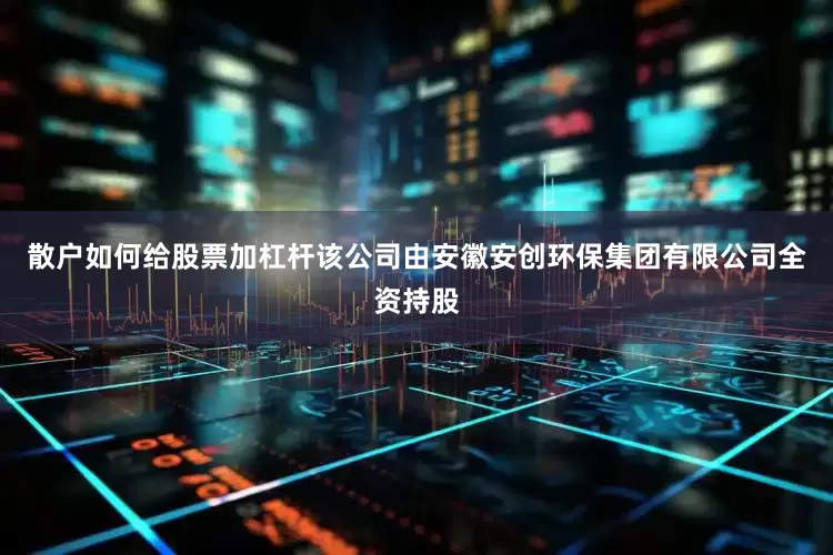 散户如何给股票加杠杆该公司由安徽安创环保集团有限公司全资持股