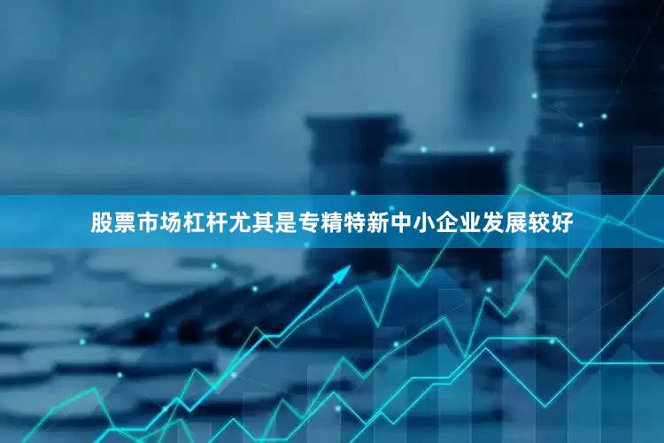 股票市场杠杆尤其是专精特新中小企业发展较好