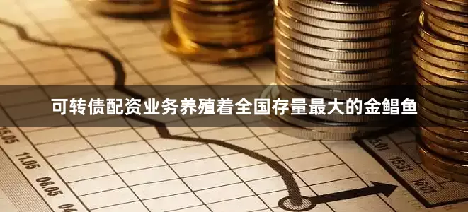 可转债配资业务养殖着全国存量最大的金鲳鱼