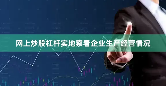 网上炒股杠杆实地察看企业生产经营情况